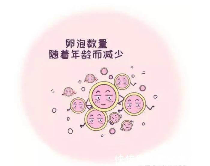 湛江试管婴儿