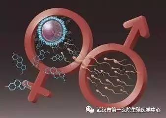 烟台捐卵试管中心医院
