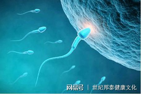 滁州试管代怀孕机构