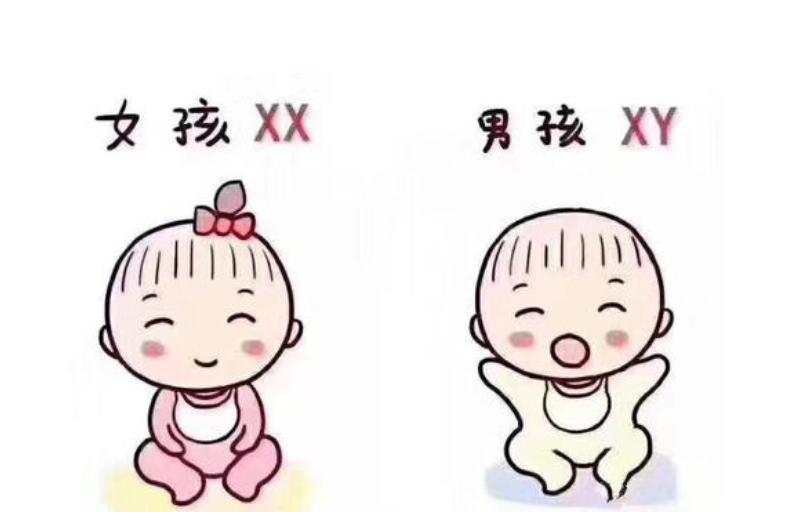 爱心助孕