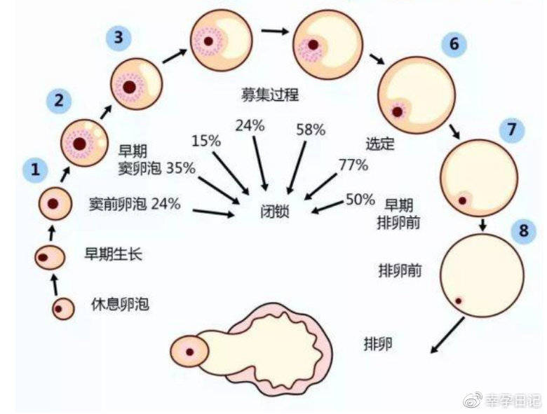 潮州捐卵机构公司