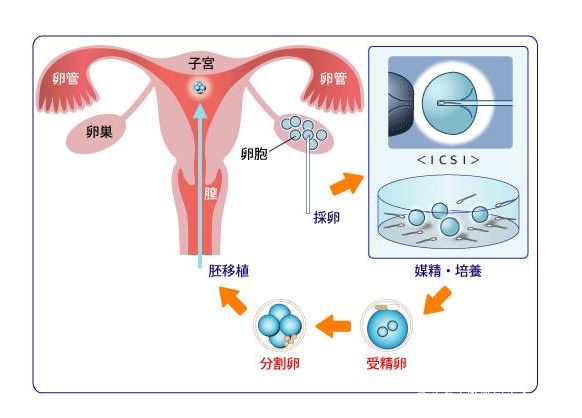 家庭教育