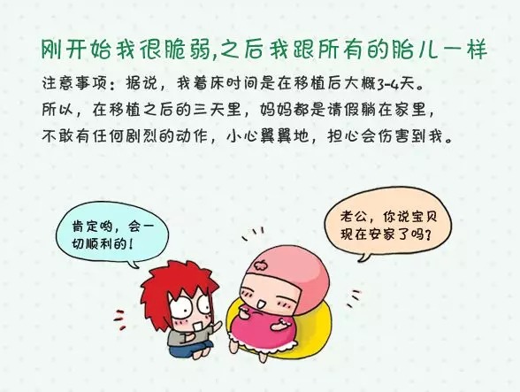漳州捐卵试管中心医院