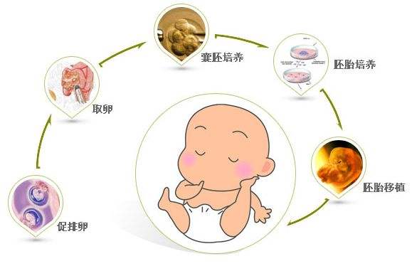 滁州供卵代怀