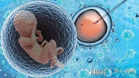 湛江捐卵联系方式