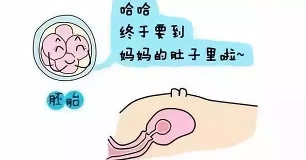 激素六项检查