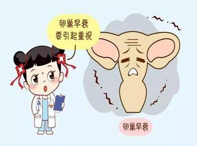 漳州有偿招聘捐卵女孩
