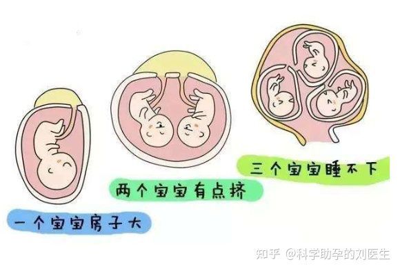 爱心捐卵