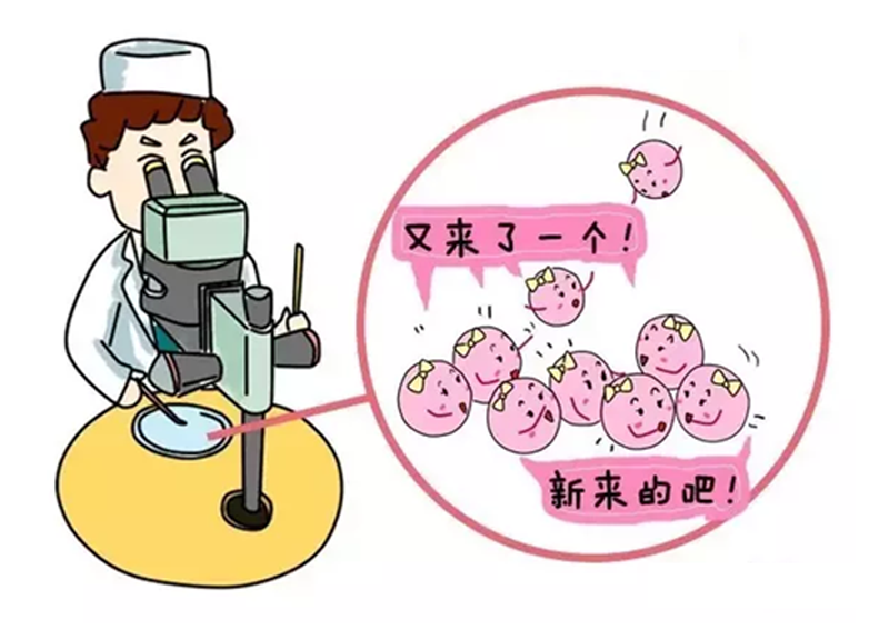 试管婴儿技术