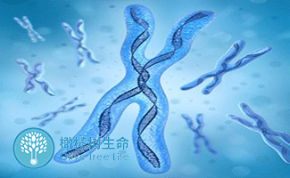 试管婴儿