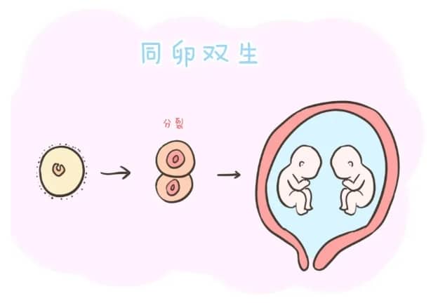 烟台招聘捐卵女孩机构